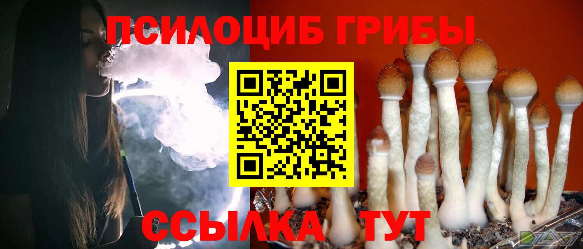 купить наркотики цена  Вход с VPN  Чернушка  Галлюциногенные грибы Psilocybine cubensis 